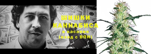 твердый Алзамай