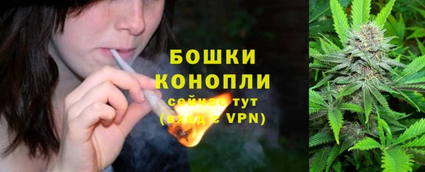прущий лед Абаза
