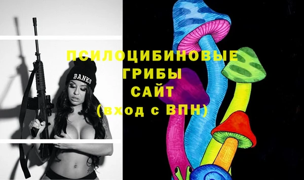 прущий лед Абаза